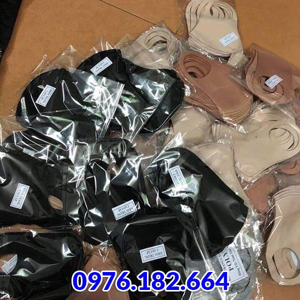 khau trang gia si 8
